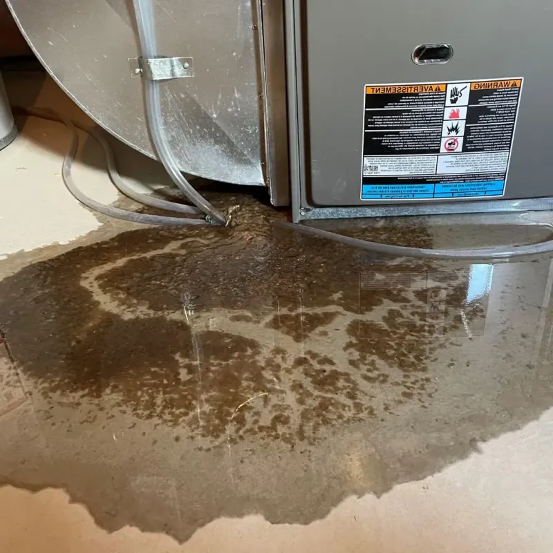 Pipe Burst and Leak Restoration in Eagle Mountain, UT